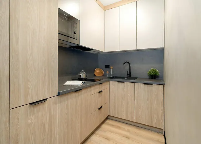 Apartman Unique With Air Conditioning In By Renters